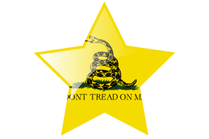 Gadsden Flag Star Icon flag
