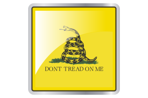 Gadsden Flag Square icon flag