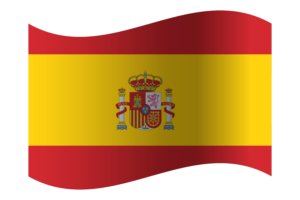 Kingdom of Spain Flag flag