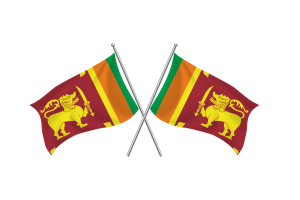 Sri Lanka Waving Friendship Flag flag