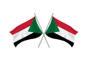 Sudan Waving Friendship Flag flag