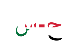 Sudan Currency icon flag