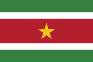 Flag of Suriname flag