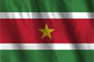 National Flag of Suriname flag