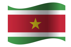 Republic of Suriname Flag flag