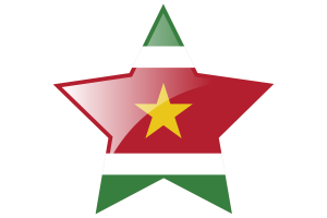 Suriname Flag Star Icon flag