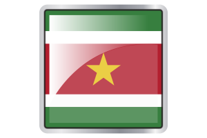 Suriname Flag Square icon flag