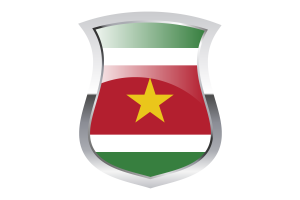 Suriname Pride Flag flag