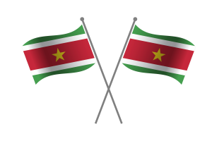 Suriname Friendship Flag flag