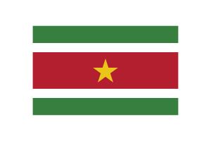 Suriname Flag Triangle Vector Illustration flag