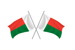 Madagascar Waving Friendship Flag flag