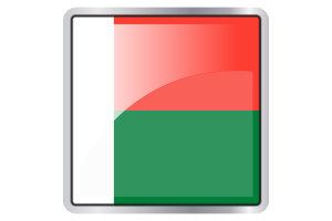Madagascar Flag Square icon flag