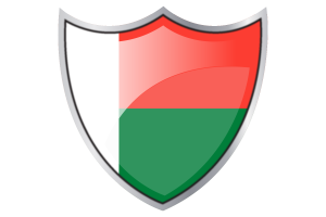 Shield with Flag of Madagascar flag
