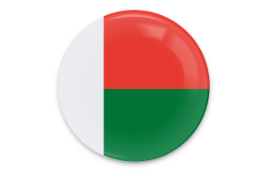 Madagascar Flag Vector Art flag