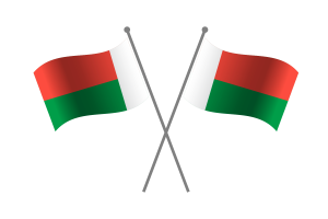 Madagascar Friendship Flag flag