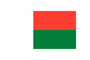 Madagascar Flag Triangle Vector Illustration flag