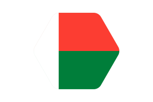 Madagascar Flag Vector Illustration flag