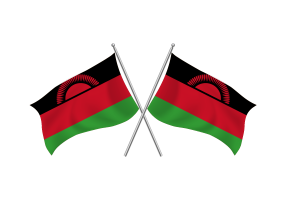 Malawi Waving Friendship Flag flag