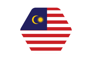 Malaysia Flag Vector Illustration flag