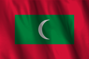 National Flag of Maldives flag