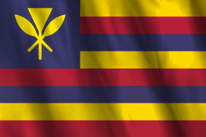 National Flag of Hawaiian Kingdom flag