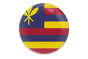 Hawaiian Kingdom Flag Vector Art flag