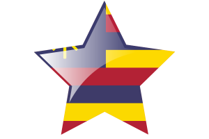 Hawaiian Kingdom Flag Star Icon flag