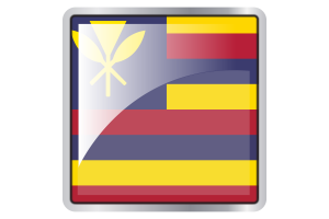 Hawaiian Kingdom Flag Square icon flag
