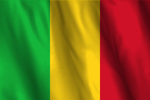 National Flag of Mali flag