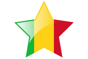 Mali Flag Star Icon flag