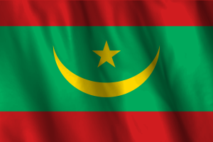National Flag of Mauritania flag