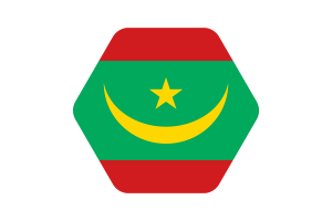Mauritania Flag Vector Illustration flag