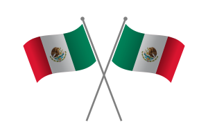 Mexico Friendship Flag flag