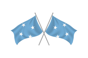 Micronesia Waving Friendship Flag flag