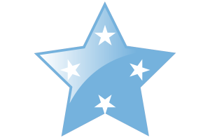 Micronesia Flag Star Icon flag
