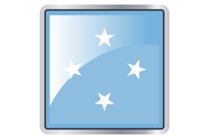 Micronesia Flag Square icon flag