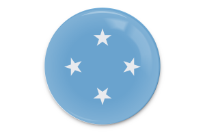 Micronesia Flag Vector Art flag