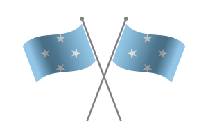 Micronesia Friendship Flag flag