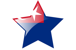 Johor Flag Star Icon flag