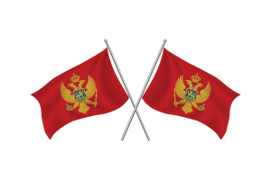 Montenegro Waving Friendship Flag flag