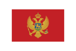 Montenegro Flag Triangle Vector Illustration flag