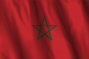 National Flag of Morocco flag
