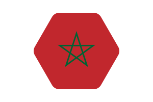 Morocco Flag Vector Illustration flag