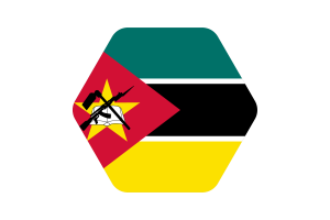 Mozambique Flag Vector Illustration flag