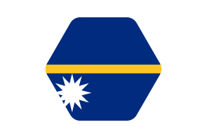 Nauru Flag Vector Illustration flag