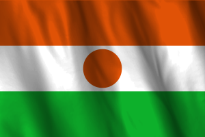 National Flag of Niger flag