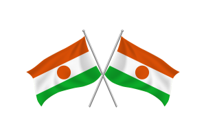 Niger Waving Friendship Flag flag