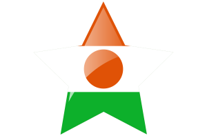 Niger Flag Star Icon flag
