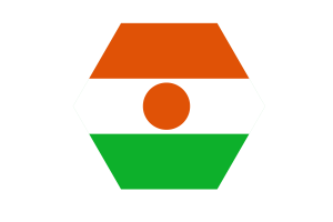 Niger Flag Vector Free | SVG and PNG flag
