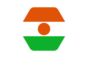 Niger Flag Vector Illustration flag